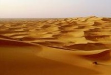 Full Day Hatta Safari